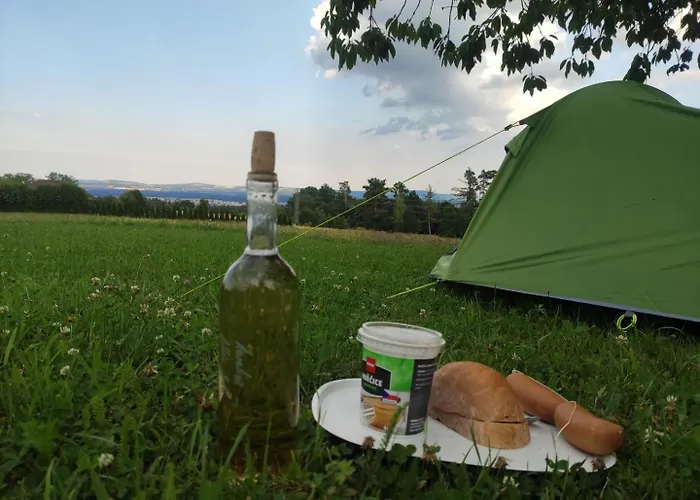 Meadow By The Forest