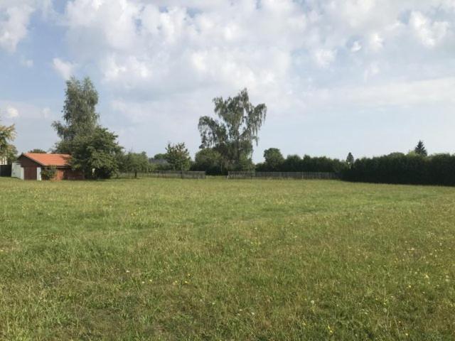 Meadow By The Forest Campsite